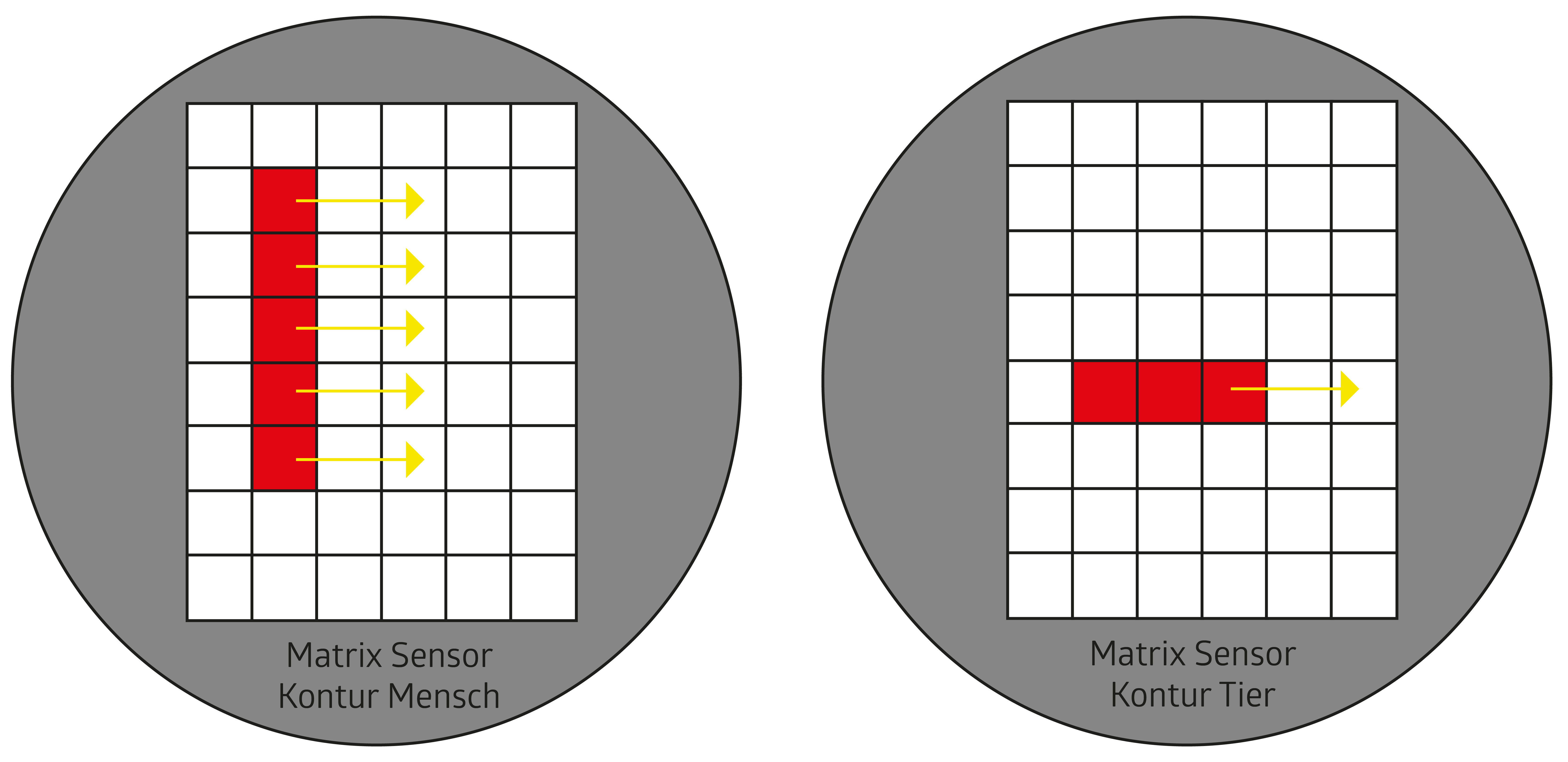 Small animal detection / presence detection B.E.G. Brück Electronic GmbH      